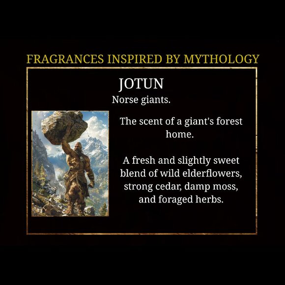 Shampoo Soap Bar. Woodlands & Elderflower unisex scent. - Picture 4 of 7